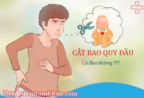 Cắt bao quy đầu có đau không