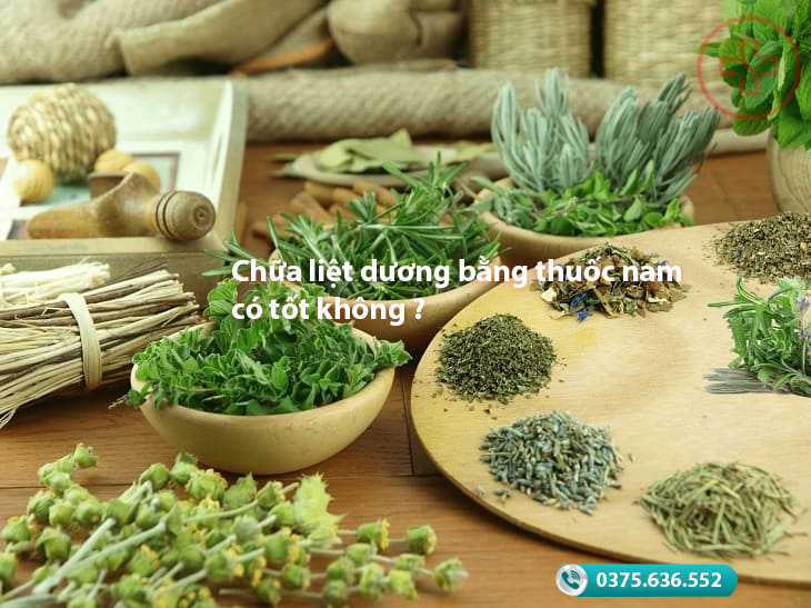 chữa liệt dương bằng thuốc nam có tốt không ?