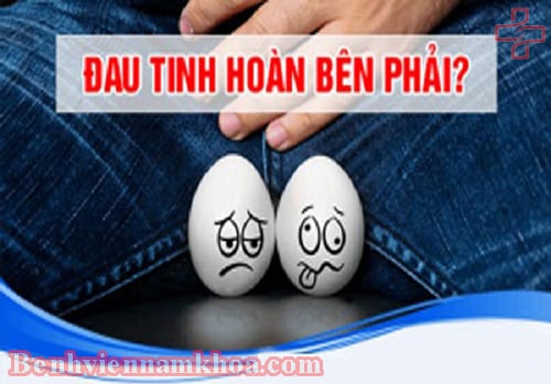 Đau tinh hoàn bên phải là triệu chứng của bệnh gì
