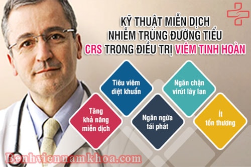 Điều trị viêm tinh hoàn