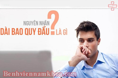 NGUYÊN NHÂN BAO QUY ĐẦU DÀI