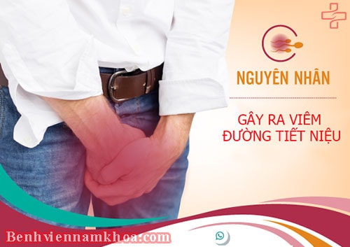 Nguyên nhân gây bệnh viêm đường tiết niệu ở nam