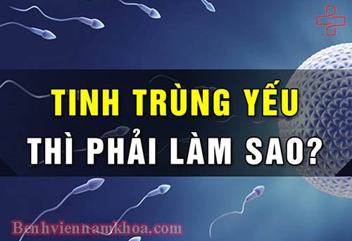 Tinh trùng yếu phải làm sao?