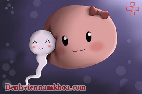 Tinh trùng yếu và cách điều trị