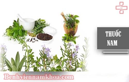 Trị yếu sinh lý bằng thuốc nam