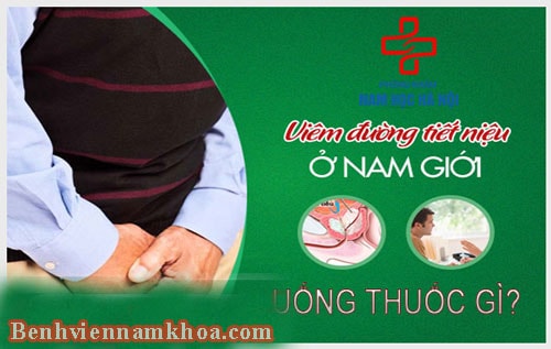 Viêm đường tiết niệu uống thuốc gì?