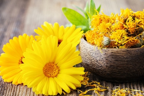 Cách chữa sưng bao quy đầu 1