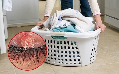 Cách phòng tránh nguy cơ lây bệnh và tái phát sùi mào gà