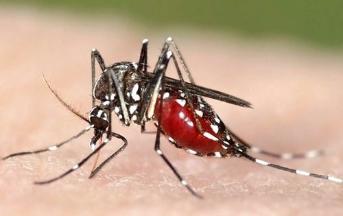 HIV không lây qua đường nào