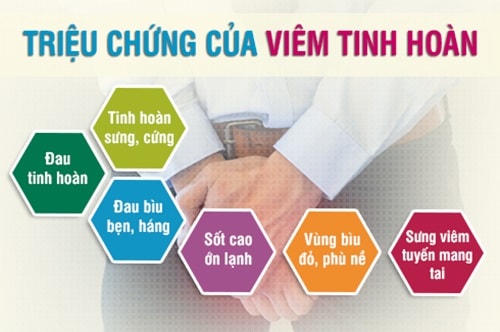 triệu chứng viêm tinh hoàn ở nam giới