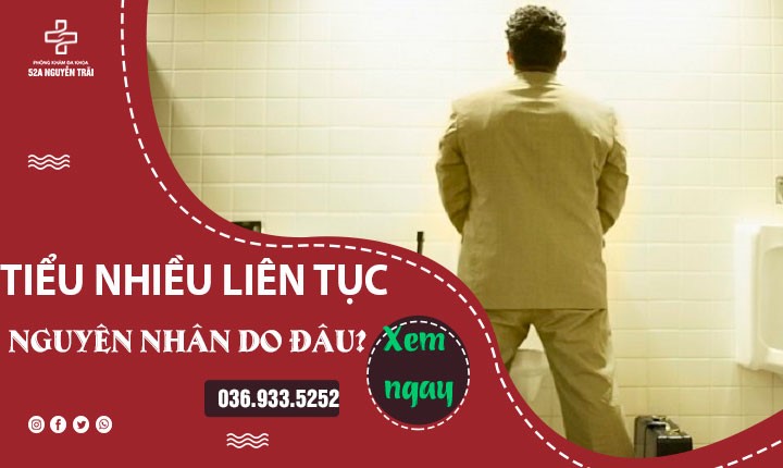 tiểu nhiều, tiểu liên tục 