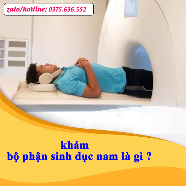 khám bộ phận sinh dục nam
