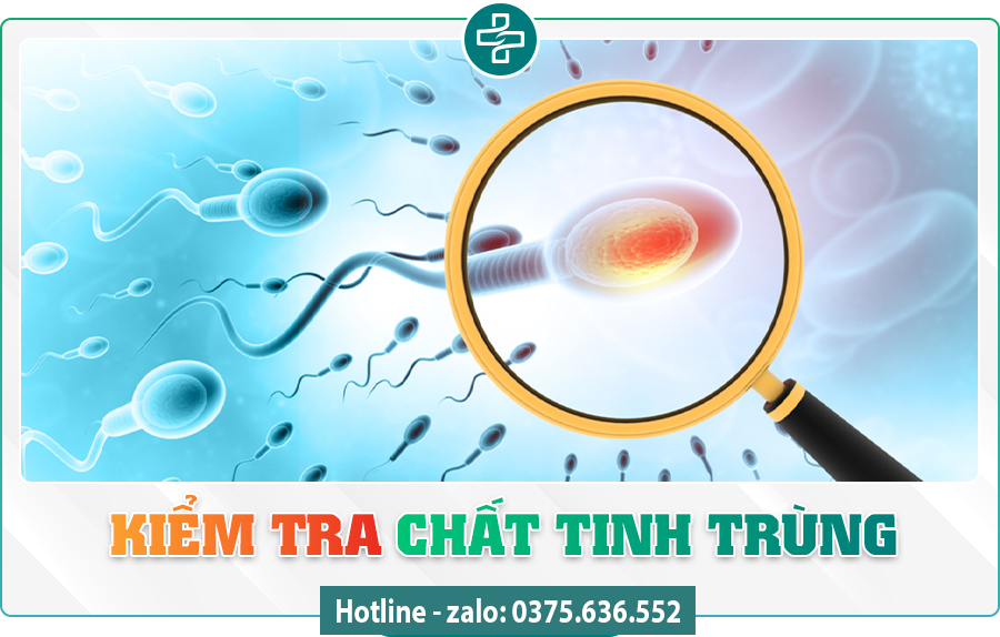 kiểm tra chất lượng tinh trùng