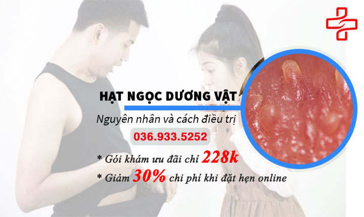 Chuyên gia chia sẻ hạt ngọc dương vật là gì? Có nguy hiểm không
