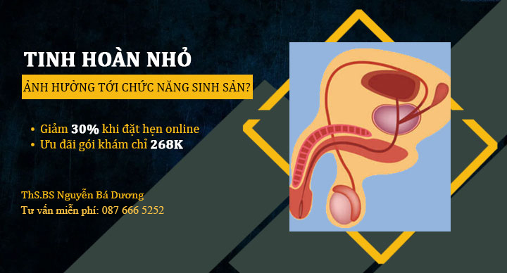 Tinh hoàn nhỏ có ảnh hưởng tới chức năng sinh sản?