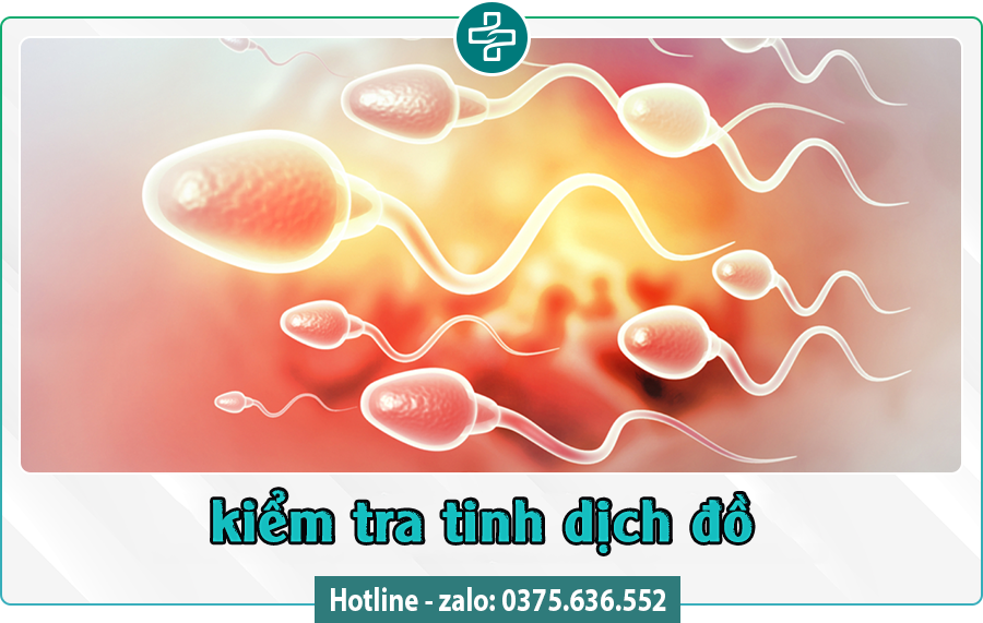 kiểm tra tinh dịch đồ