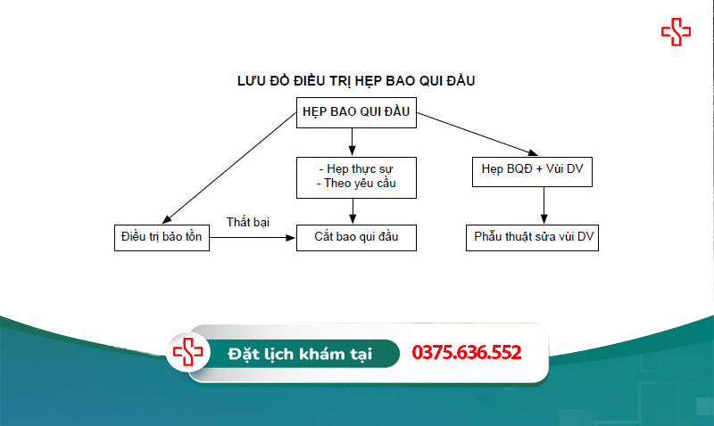 lưu đồ điều trị trẻ bị hẹp bao quy đầu
