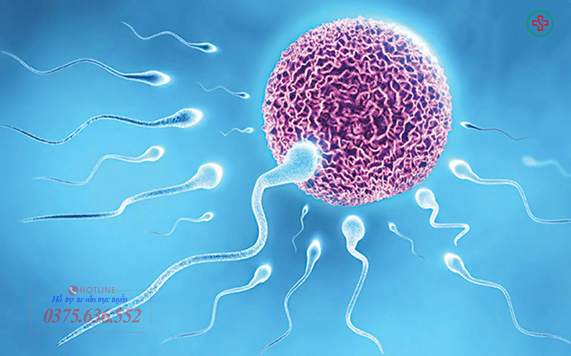 Những lưu ý khi xét nghiệm tinh dịch đồ
